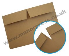 TOTE ENVELOPES - 1 BOX